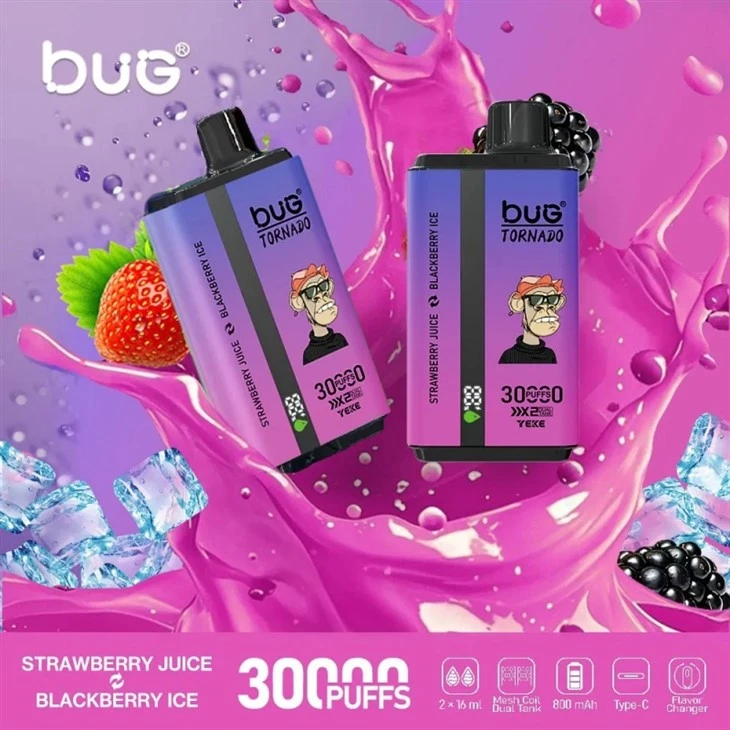 Bug Vape 30000 Puffs best